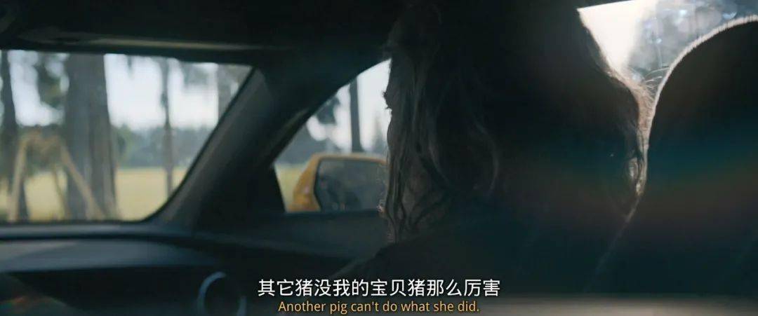 尼古拉斯·凯奇|烂片之王回归，今年第一奇片诞生