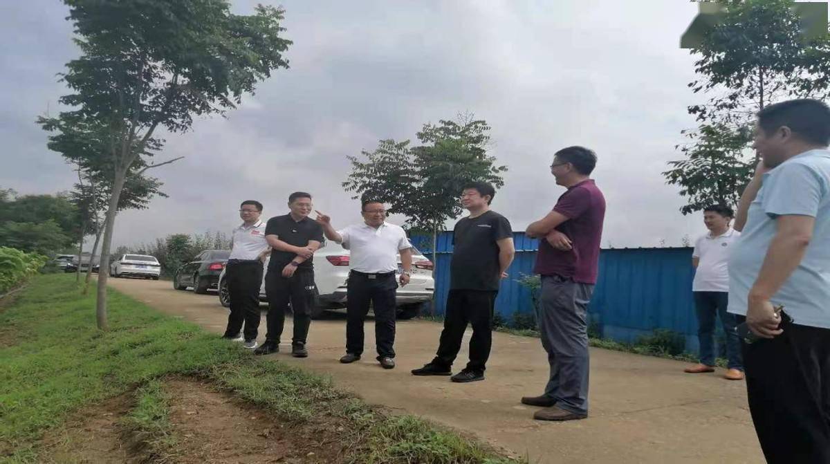 内乡县委副书记任永亮到王店镇调研烟叶生产工作