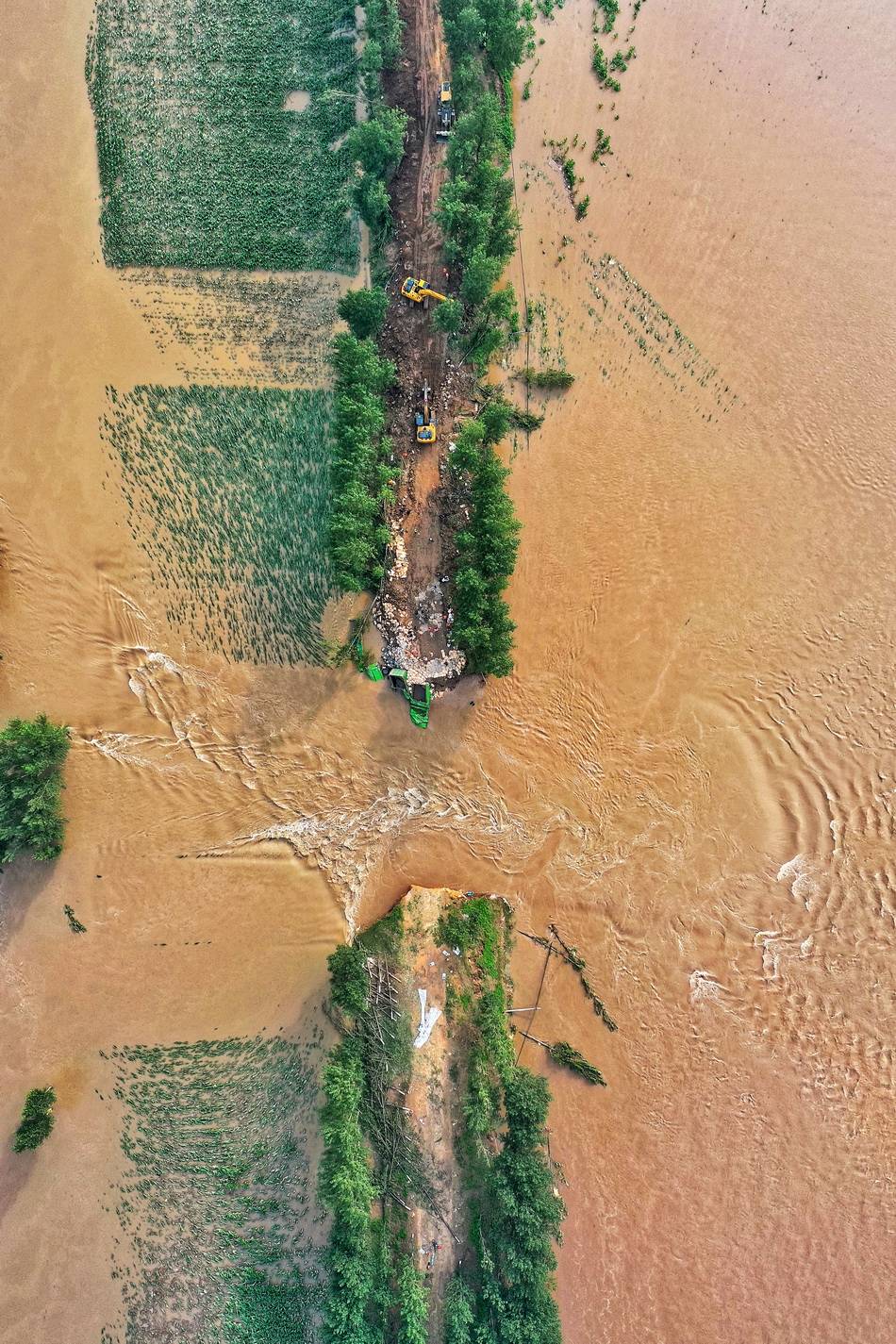 河南暴雨·救援丨卫河鹤壁段决口已填入数辆卡车,尚未能封堵
