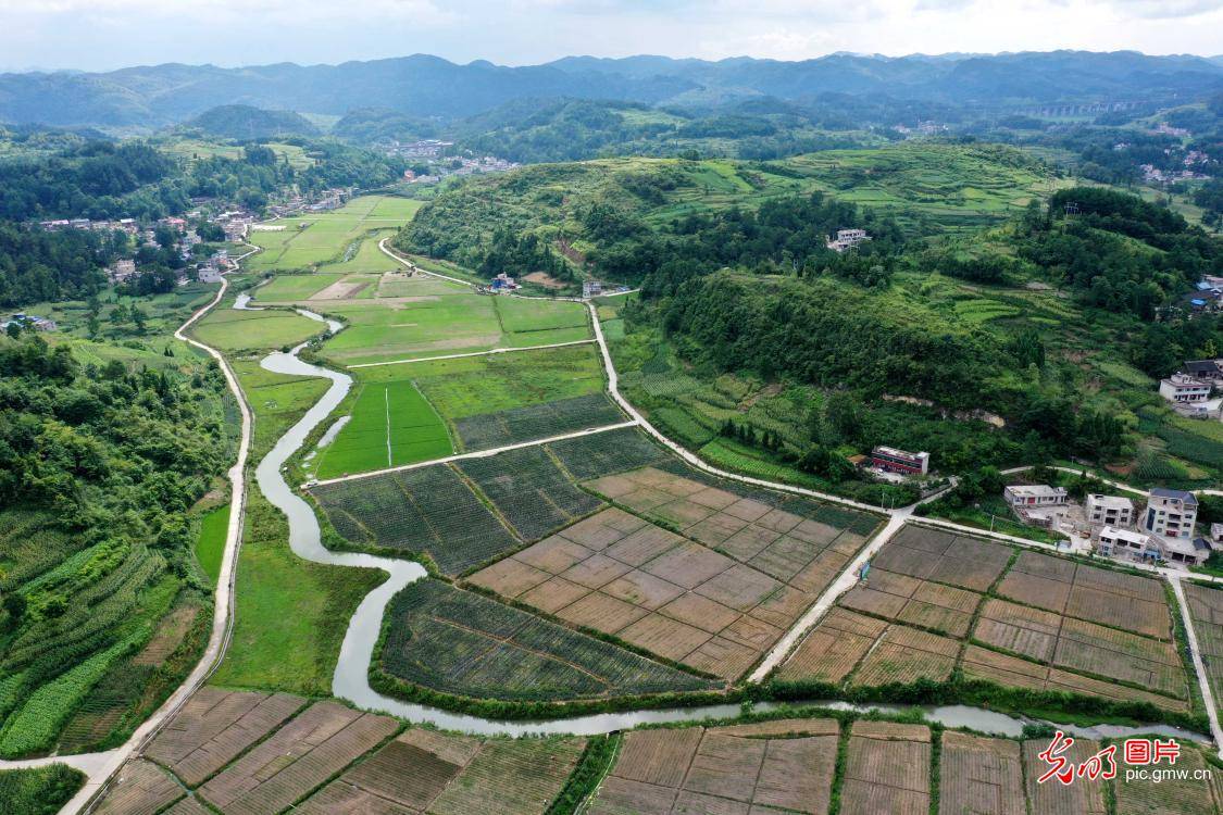 2021年7月22日拍摄的贵州省黔南布依族苗族自治州福泉市牛场镇桂花村