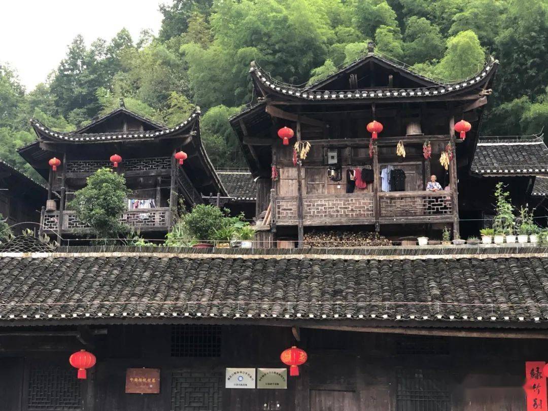 40余位湖北网络大v畅游彭家寨带你打卡新地标