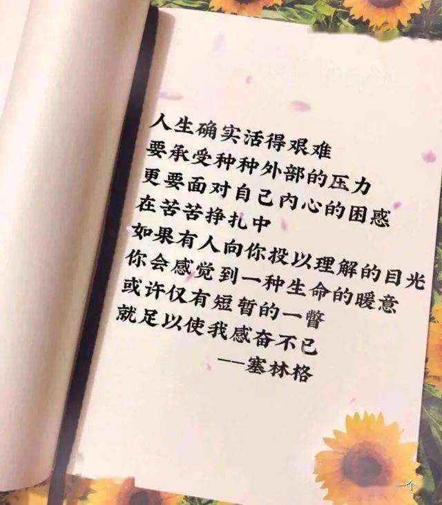 精致短剧文案，打造引人入胜的影视故事