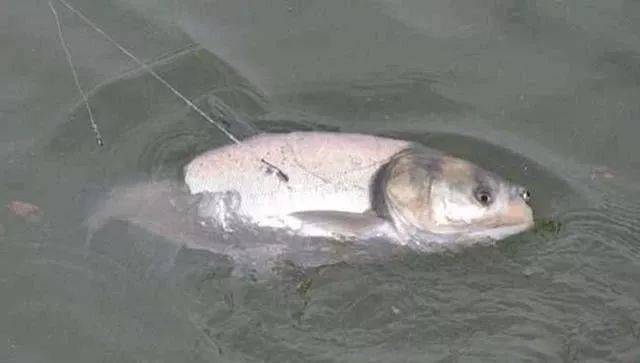 a440eafbfeb345d8a0bab73d0e979124.jpeg