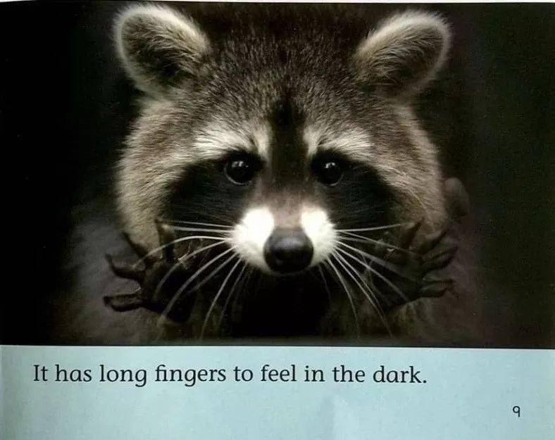 绘本阅读| night animals_dark