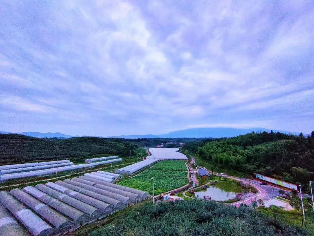 振兴示范沿线乡镇系列直播第二期7月26日主播带你走进建宁县溪口镇