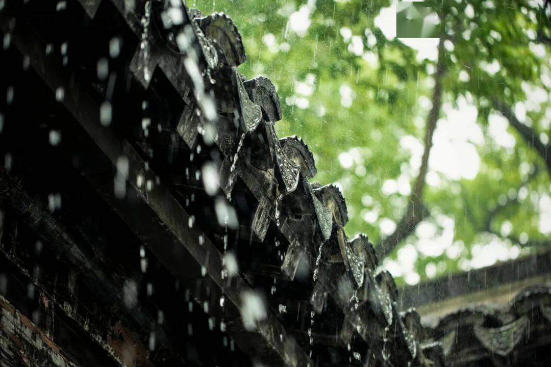 贵州梅雨图片