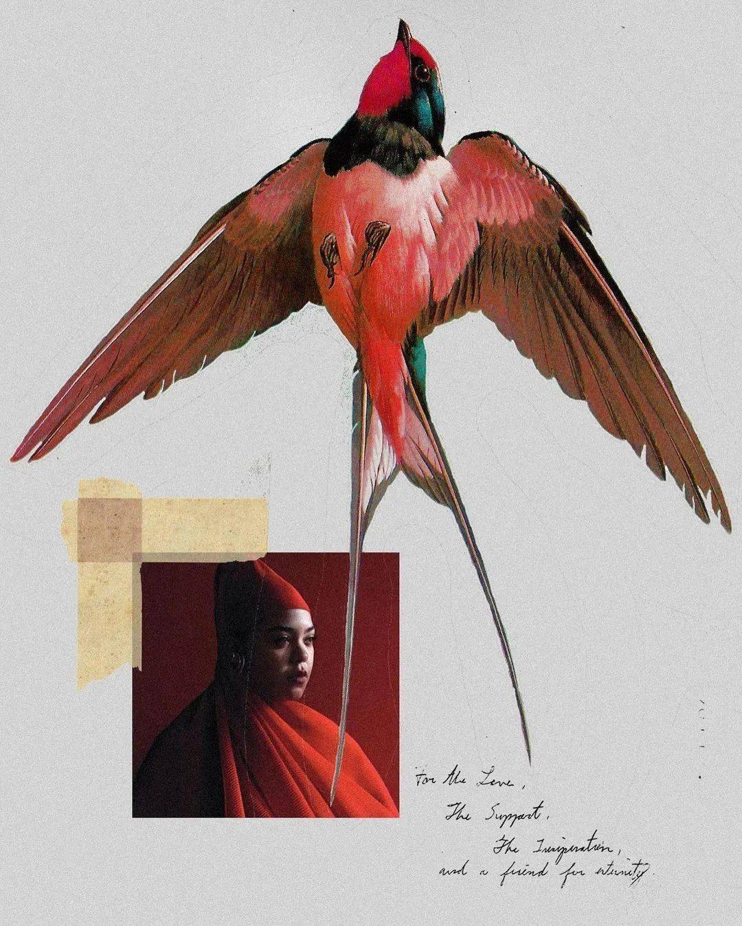 服装|灵感元素｜源自燕子的浪漫设计