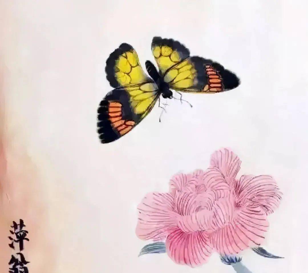 工笔花蝴蝶35图美成了百花仙子