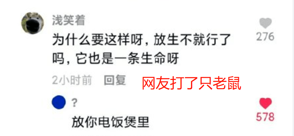 醍醐灌顶,神清气爽,出奇有梗,笑死人的抖音神回复——具体的瓜就不用