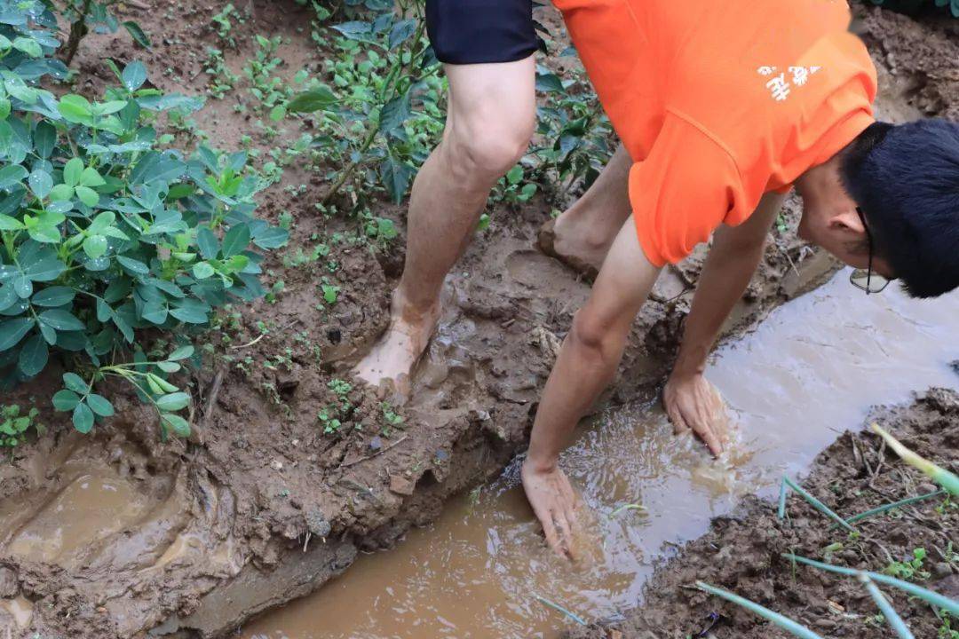 平顶山学院:融入防汛工作中的大学生志愿者