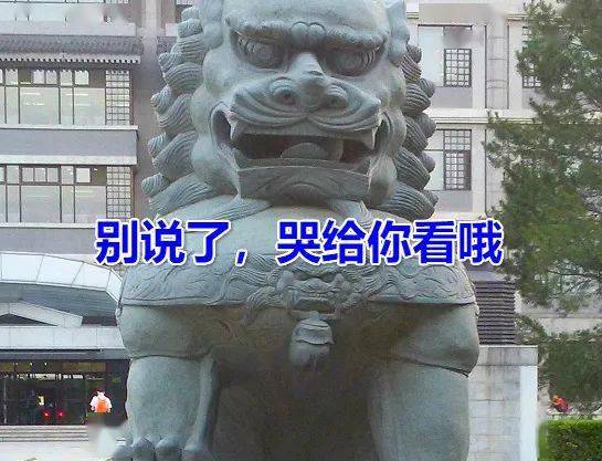 北大的公石狮子被人做绝育了!