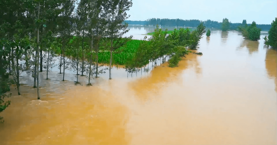 扶沟的洪水到底有多大我看哭了