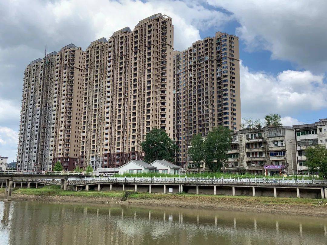 铜鼓县城中央危房楼顶上竟长参天大树