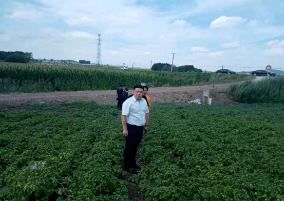 【调研指导】县委常委周建伟深入横头山镇调研指导检查工作