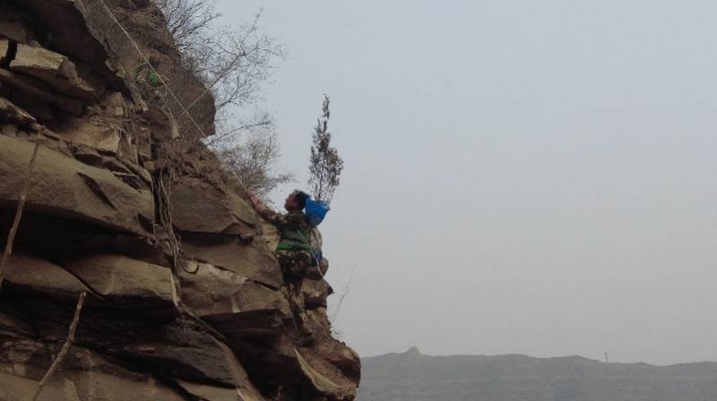 人吊在悬崖树上的图片图片