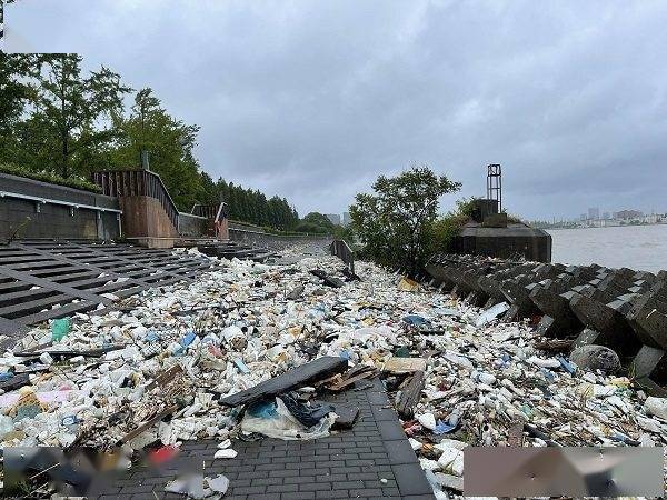 台风“烟花”过境后 上海千米江堤变垃圾堆场[组图]