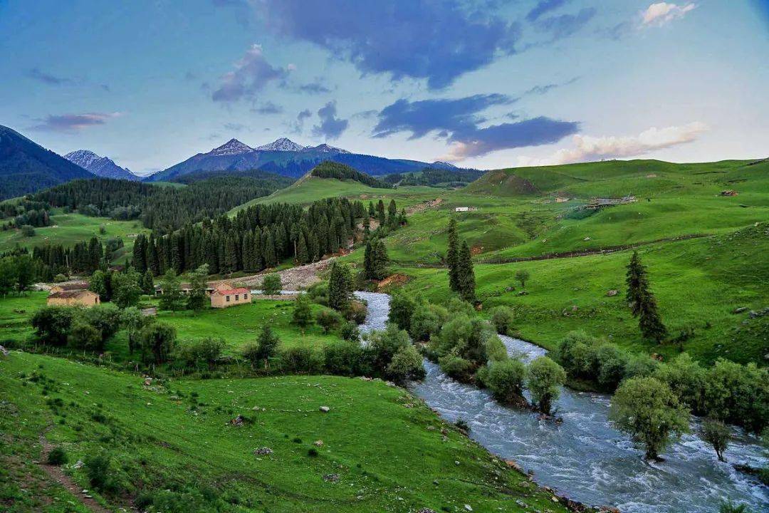 新疆的夏天有多美?美得宛如绿色童话世界,让人流连忘返!