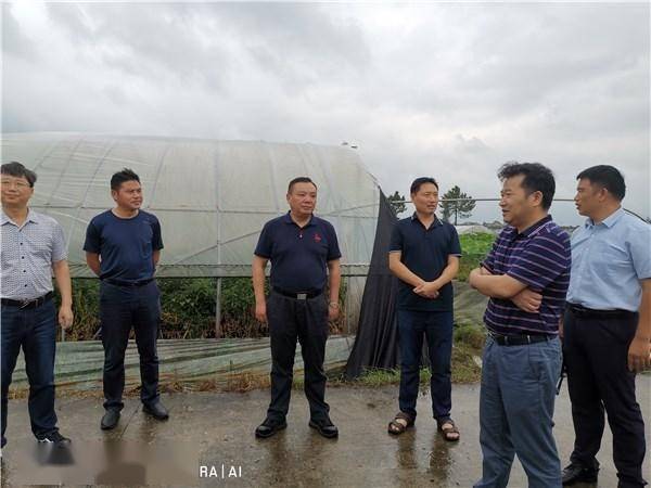 胡旭华到天湖杨柳基地检查指导台风防灾工作