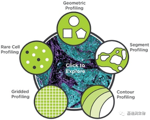 空间组学技术速递——dsp空间多组学技术
