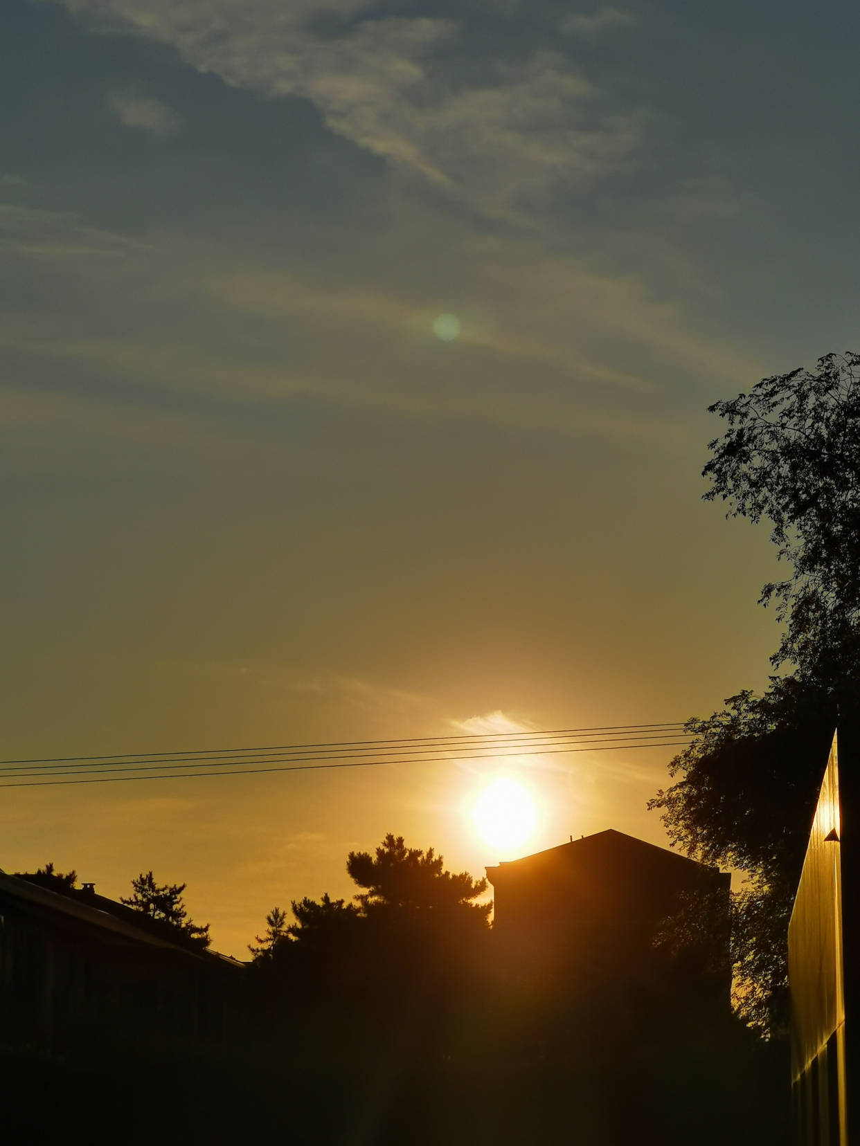 道路|阳光中谁寄锦书来