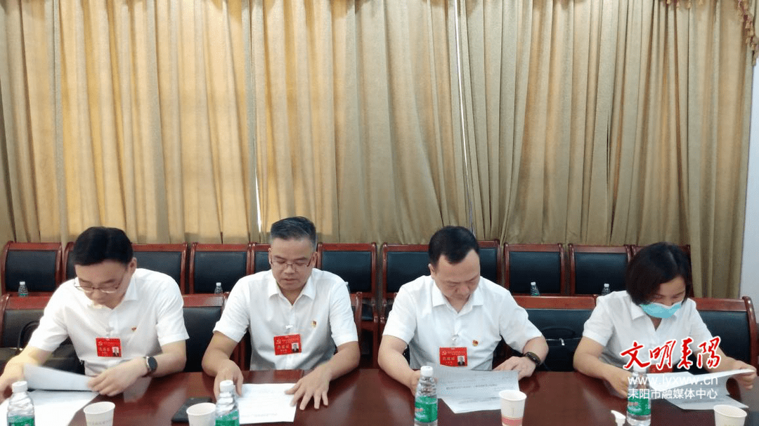 市第十三次党代会召开代表资格审查委员会会议