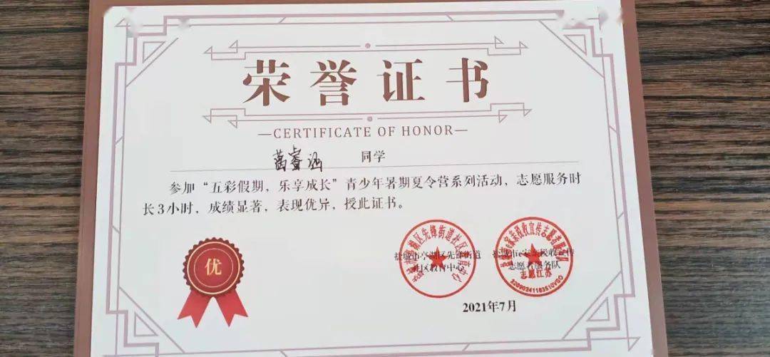 为参加活动的青年志愿者颁发了荣誉证书