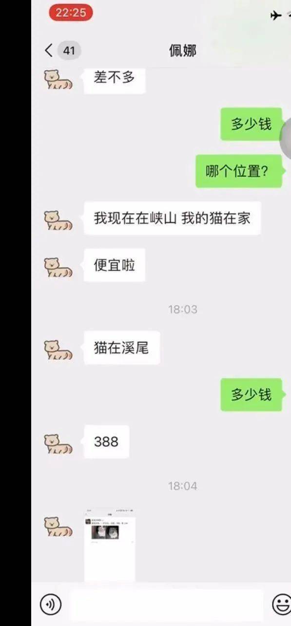 8a586bee035542dea69541f33c403bee.jpeg