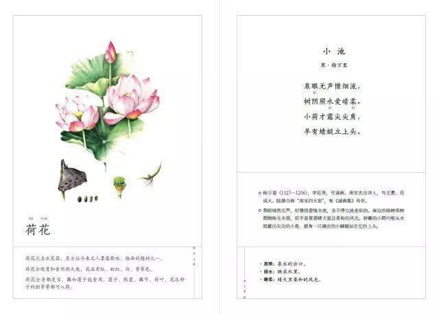 中国最美古诗词阅读 ec0bac8671ab4b54a3aa6a939a9aba88.jpeg