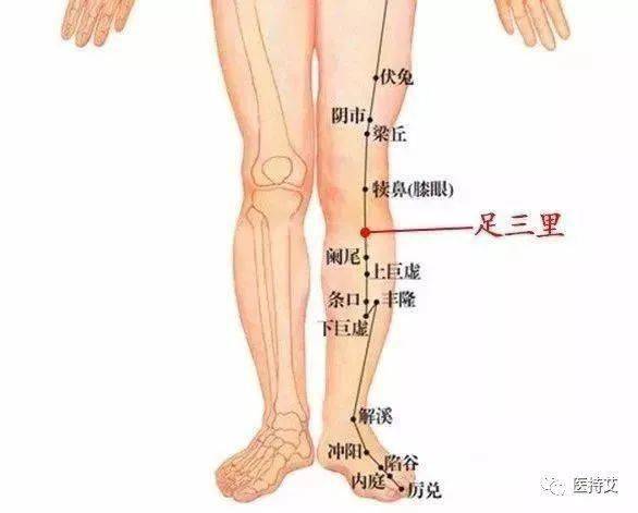 体寒者应当艾灸的7个部位 艾者必备 定位