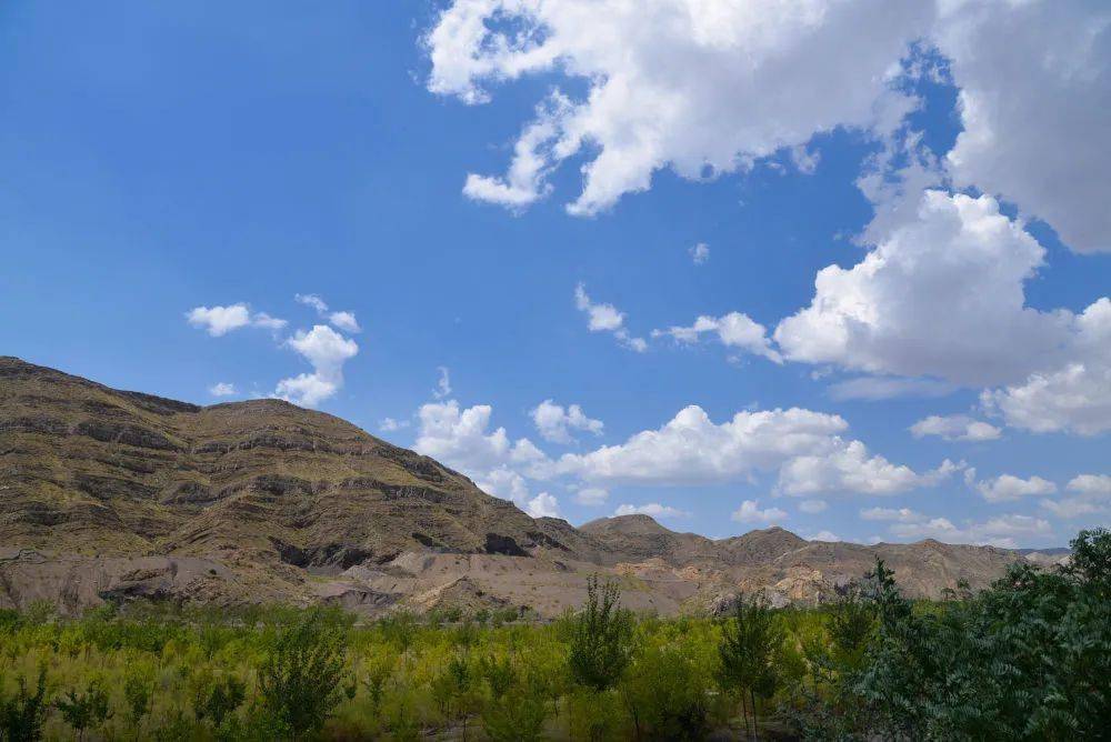 "七一"重要讲话精神在基层|贺兰山里的答案