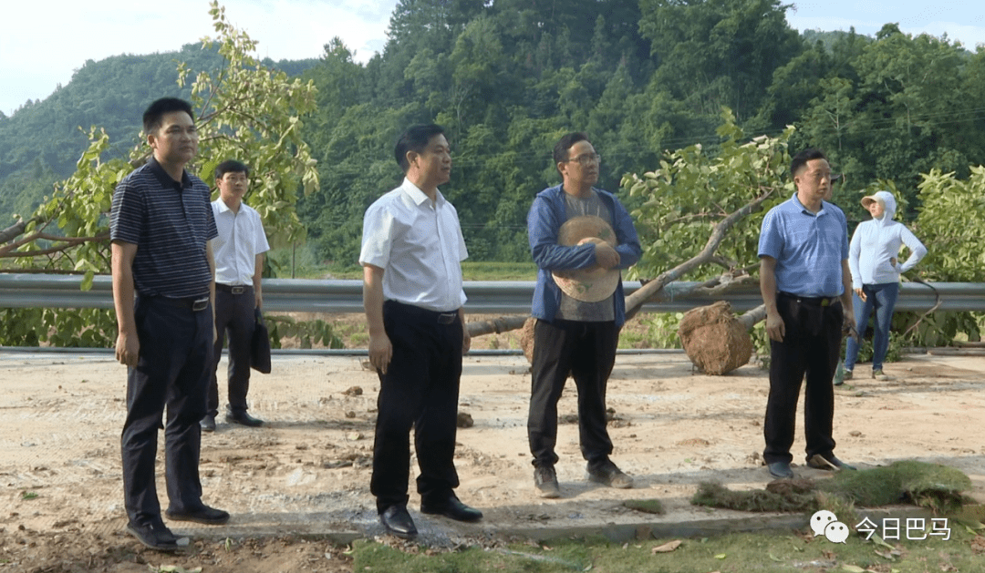 【时政】蓝海洲到乡镇开展调研活动_巴马镇