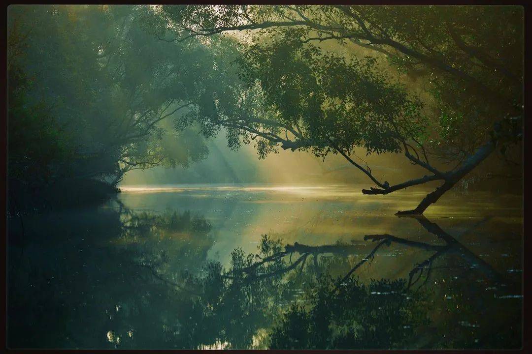 什么是世界上最大的生物圈 c2a1592ea83f4d9ca9dfdaa18364b19f.jpeg