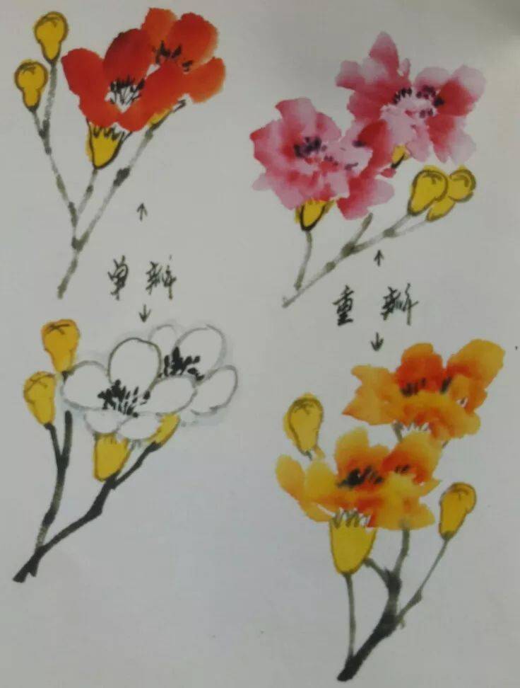 国画教程石榴的画法