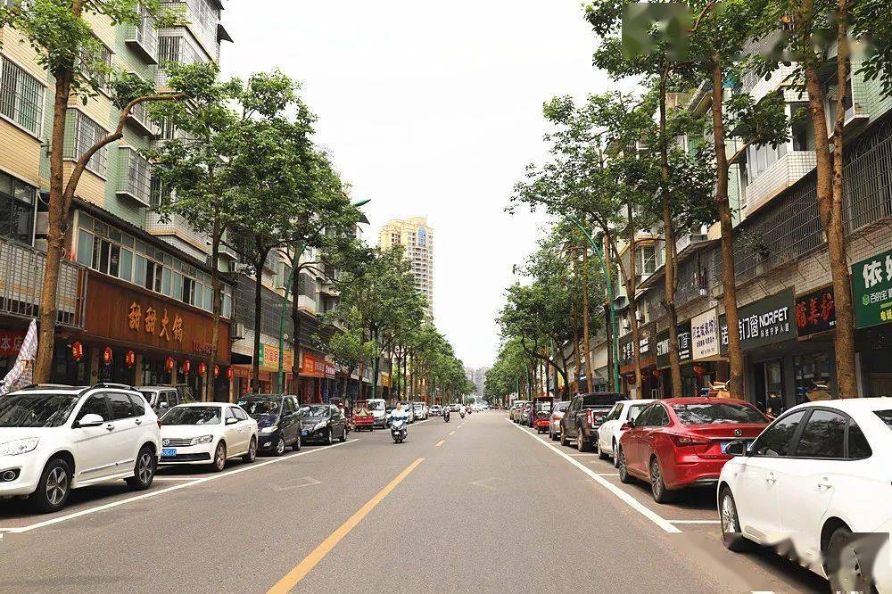 紧急通知8月1日起长宁县34条道路1437个停车位正式收费标准是