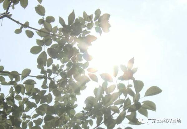 时间|一天收治20多人！这种病，这段时间高发！