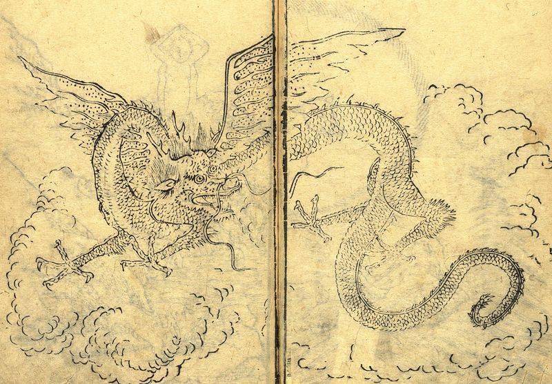 农民修猪圈挖出一文物,上交后奖励18元:专家称是"中华第一龙"_老裴