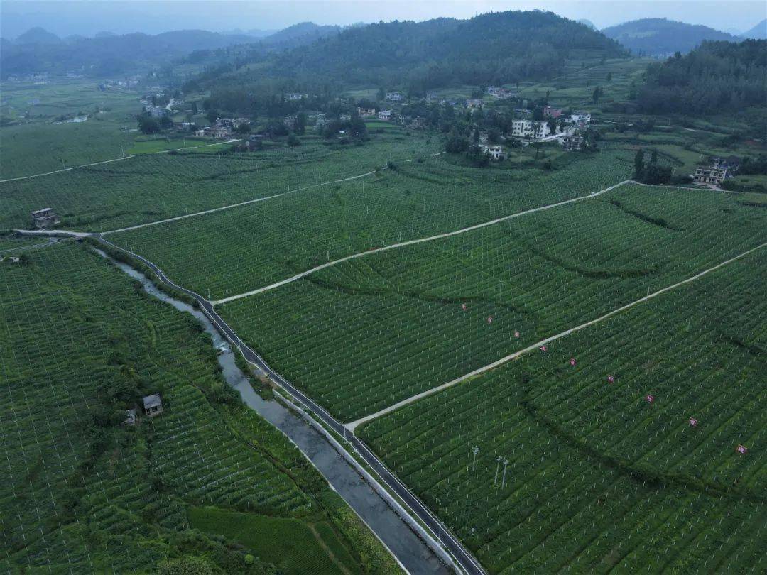 乡村振兴图集七一组图告诉你金沙有多美安底镇温泉村