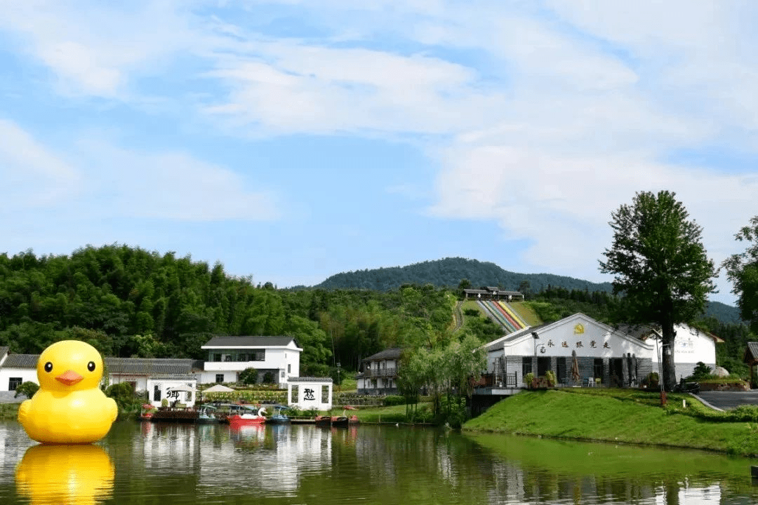 相约广昌香花湾,寻找夜空中最亮的星_景区
