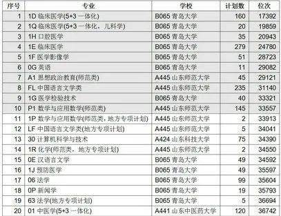 青岛学院排名_青岛滨海学院