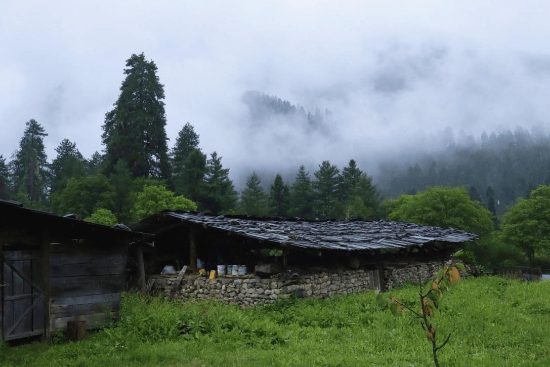 旅游村|【石榴花开 籽籽同心】西藏林芝巴卡村：白云深处的世外桃源