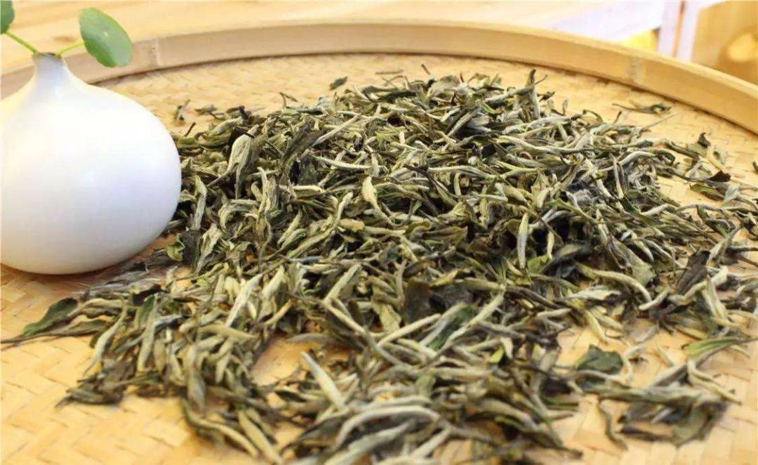 白茶排名_安吉白茶