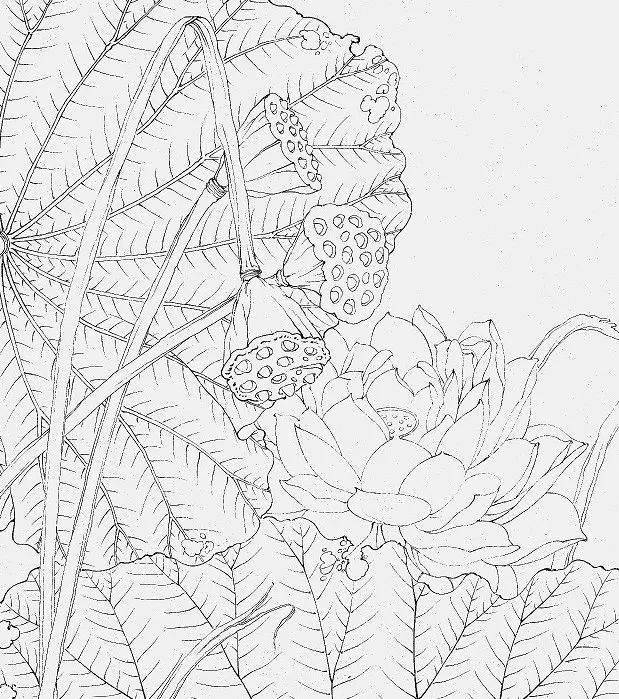 工笔荷花《亘古》详细步骤解析_莲蓬