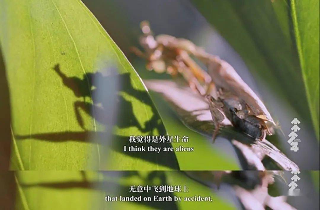 6e19e49a1747441a885582a25485d7ef.jpeg