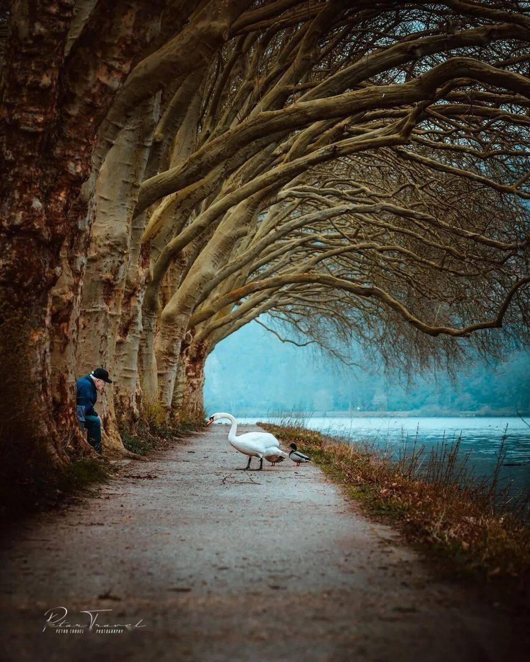 此湖此景,如诗如画一样美