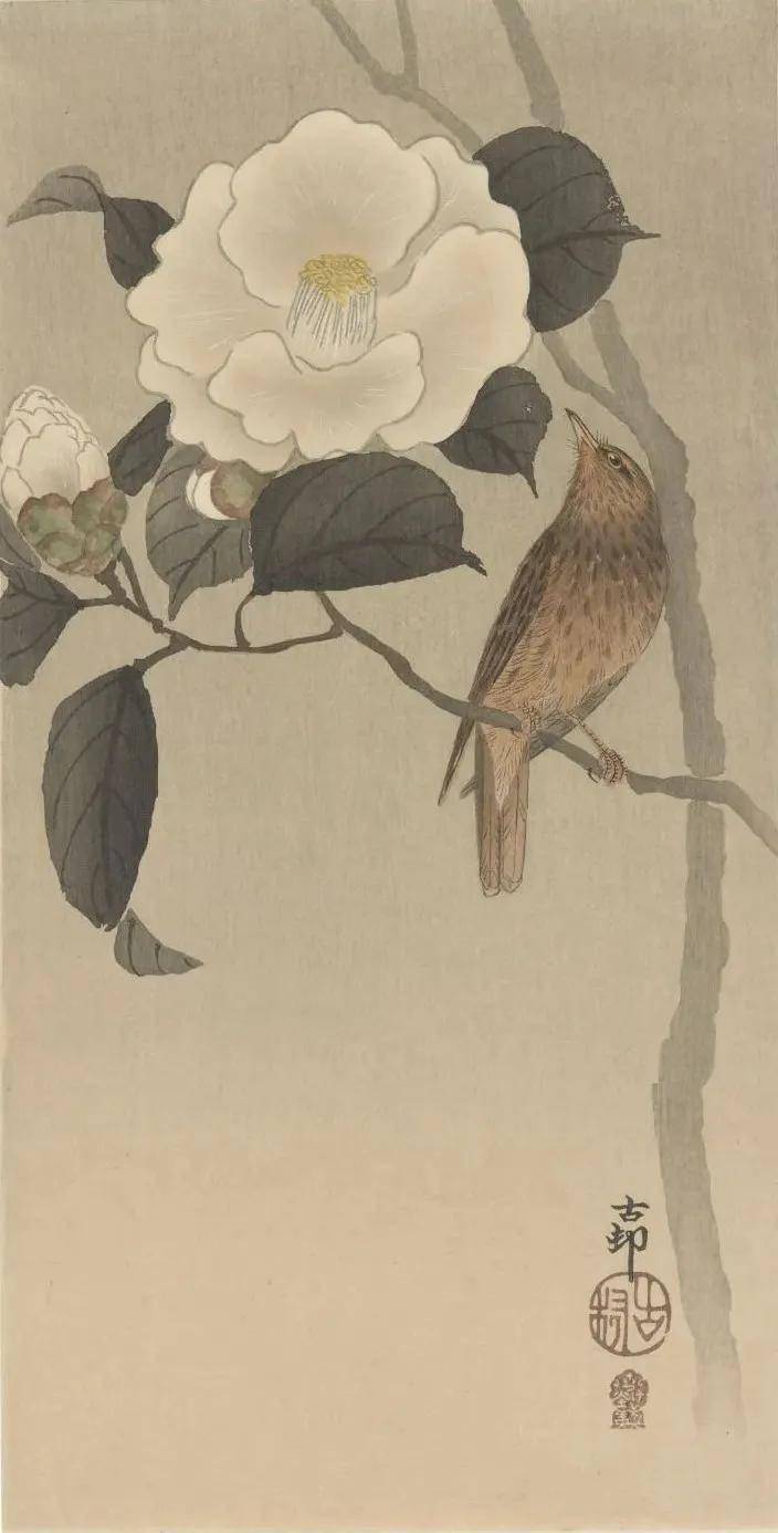 日本花鸟画精品赏析图片