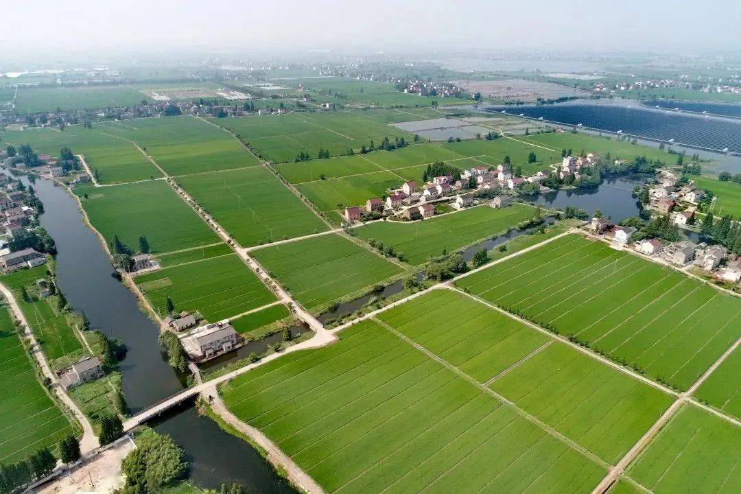 都昌统筹5亿资金建高标农田建成高标农田2049万亩