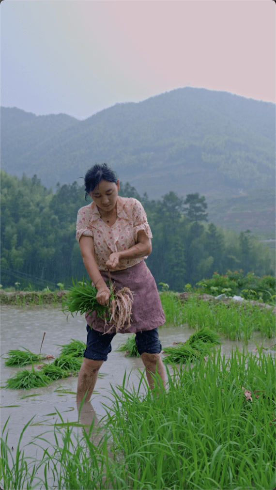 土生网红乡愁武夷风物唤醒乡土田园梦