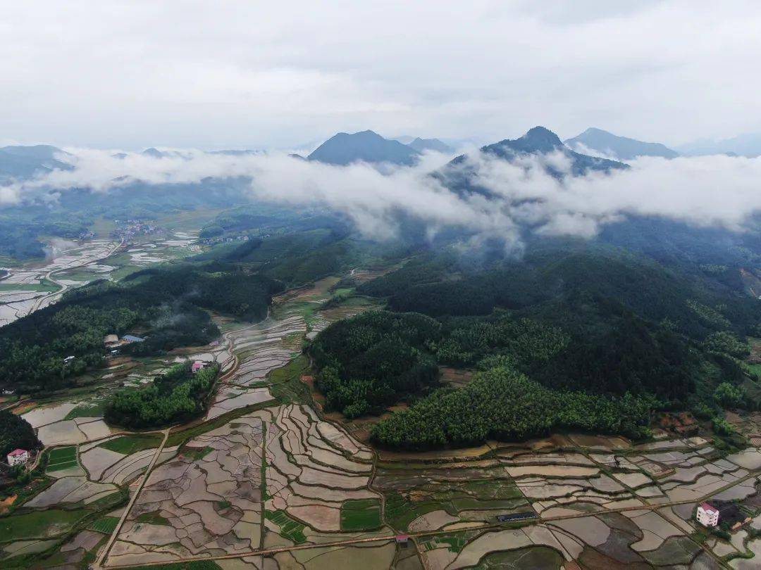 闽北美景|浦城忠信镇:雨后清晨 醉美田野 一幅绿色生态画卷缓缓展开
