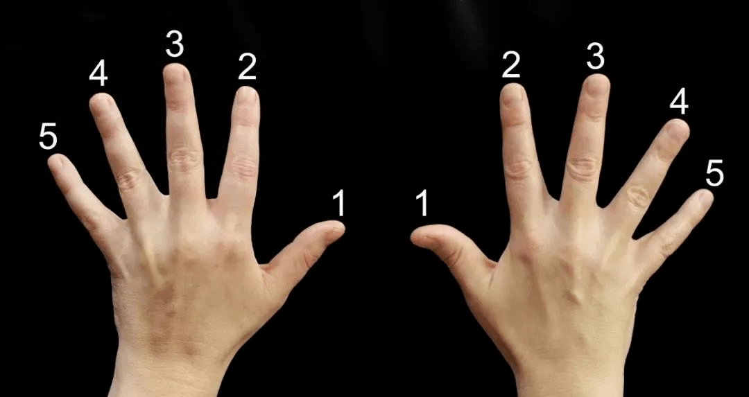 （编号对应手指为1:拇指，2:食指，3:中指，4:无名指，5:小指，以四个八度为
