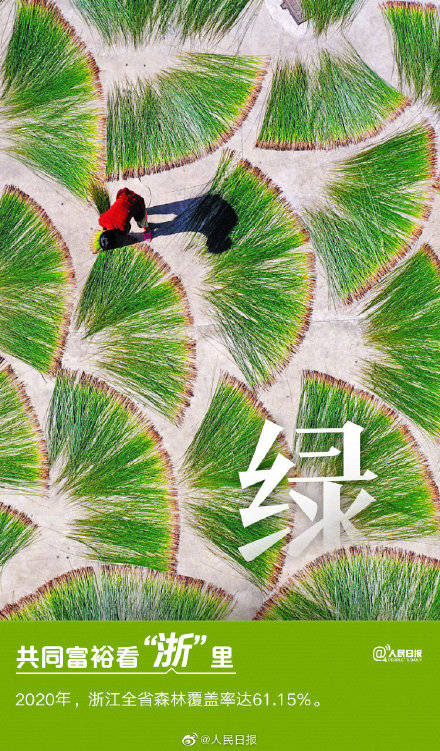 征程|值得收藏！浙江色彩壁纸来了
